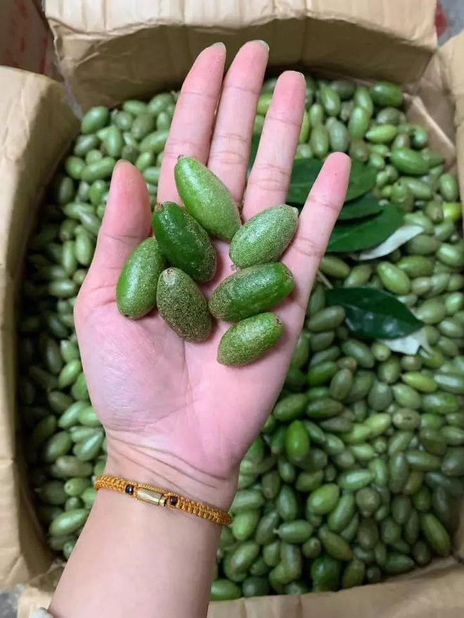  Món ăn đang gây bão mạng xã hội: Người được cho không ăn, kẻ tìm mọi cách săn lùng dù giá cao  - Ảnh 2.