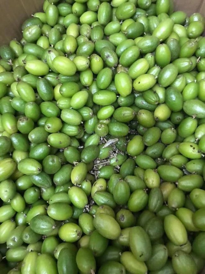  Món ăn đang gây bão mạng xã hội: Người được cho không ăn, kẻ tìm mọi cách săn lùng dù giá cao  - Ảnh 1.