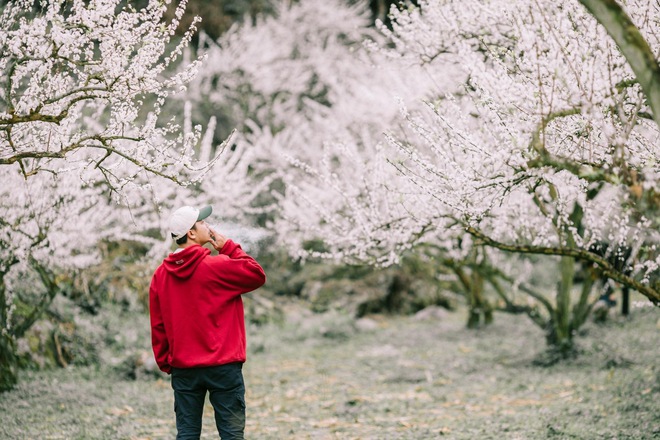 Mộc Châu trở thành điểm siêu hot dịp đầu xuân với những cây hoa mận phủ trắng núi đồi - Ảnh 17.