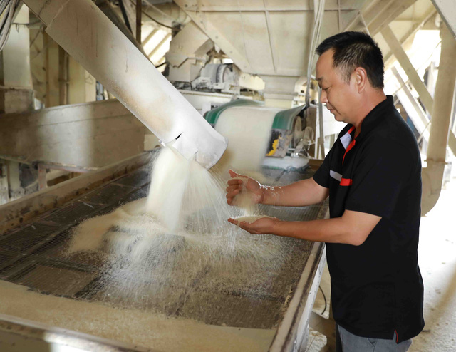 Giá gạo Việt xuất khẩu tăng cao nhất 2 năm - Ảnh 1.