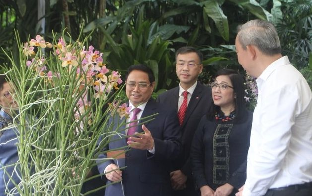 Giải mã viện nghiên cứu của Singapore: Nơi lai tạo giống hoa lan được đặt tên theo Thủ tướng Phạm Minh Chính và Phu nhân - Ảnh 1.
