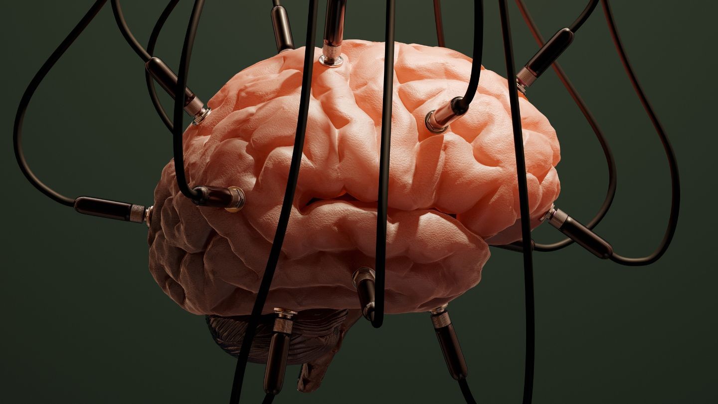 科学者たちは、人間の脳細胞から新しい知性を作ろうとしています。将来、誰も想像できないような新しい境界を打ち破ろうとしています - 写真 2. 科学者たちは、人間の脳細胞から新しい知性を作ろうとしています。将来、誰も想像できないような新しい境界を打ち破ろうとしています - 写真 2.