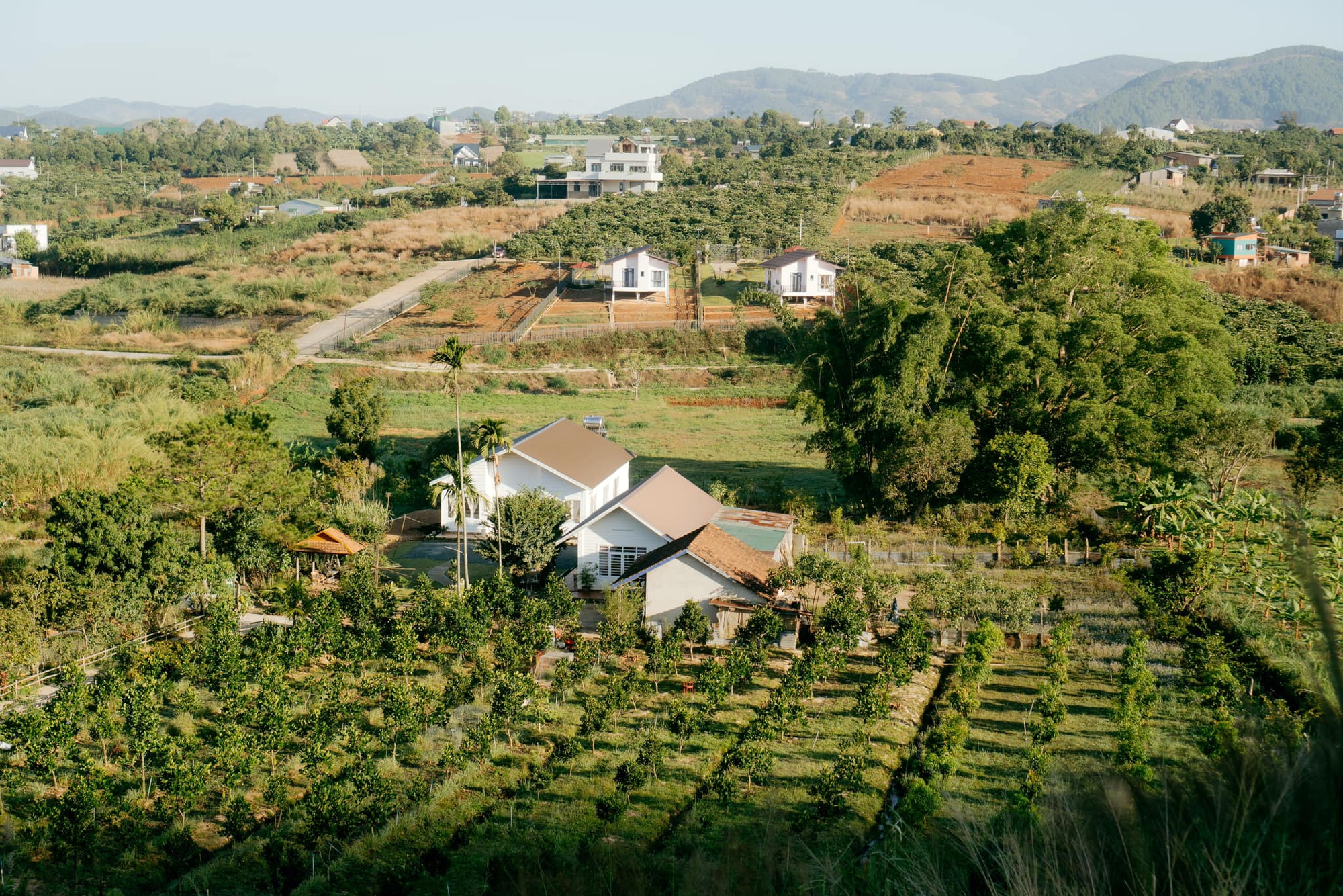 Mơ sống gần gũi với thiên nhiên, gia đình 9x chi gần 2 tỷ về quê làm vườn nhưng vẫn kinh doanh ở thành phố để bớt gánh nặng tài chính - Ảnh 1.