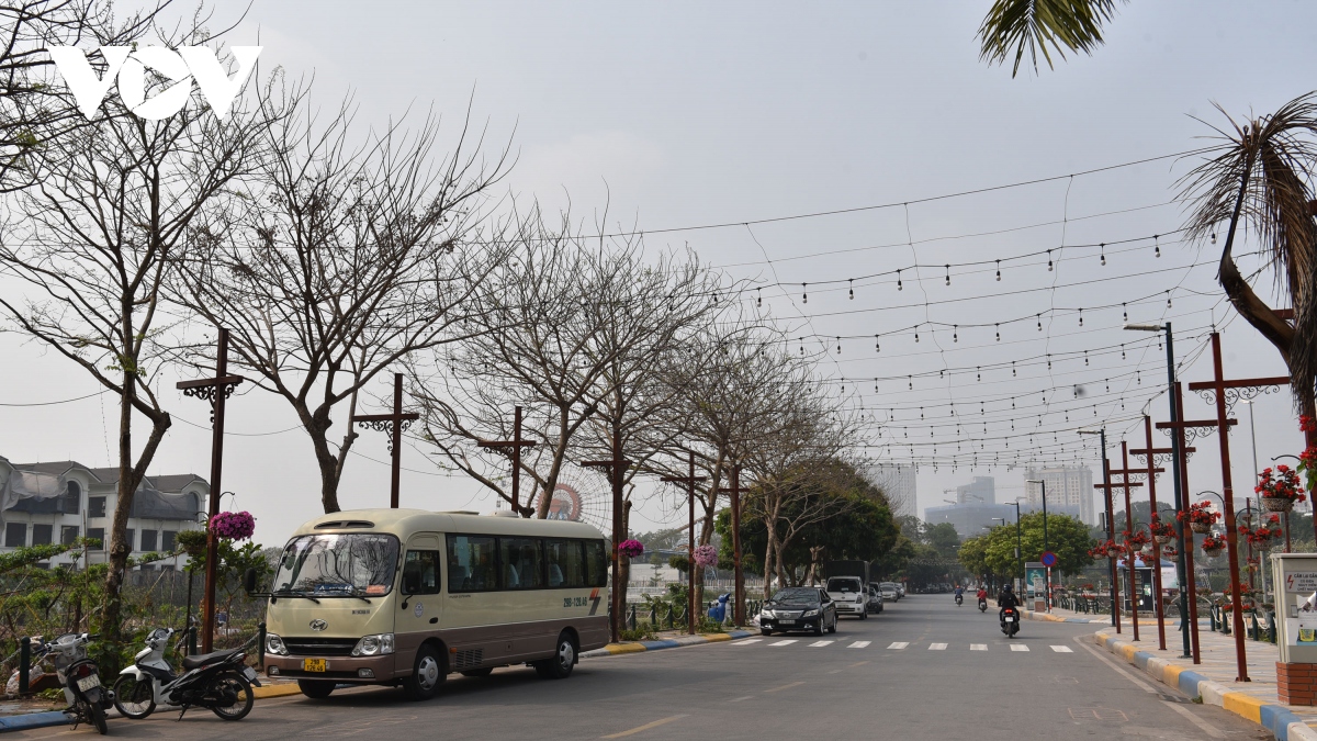 Hà Nội đánh chuyển rặng nhãn trên tuyến phố đi bộ Trịnh Công Sơn - Ảnh 11.