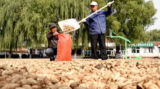 Loạt hạt “nhà trồng được” của Việt Nam đang khan hiếm trên toàn cầu, Trung Quốc mạnh tay gom khắp nơi do thiếu trầm trọng - Ảnh 1.
