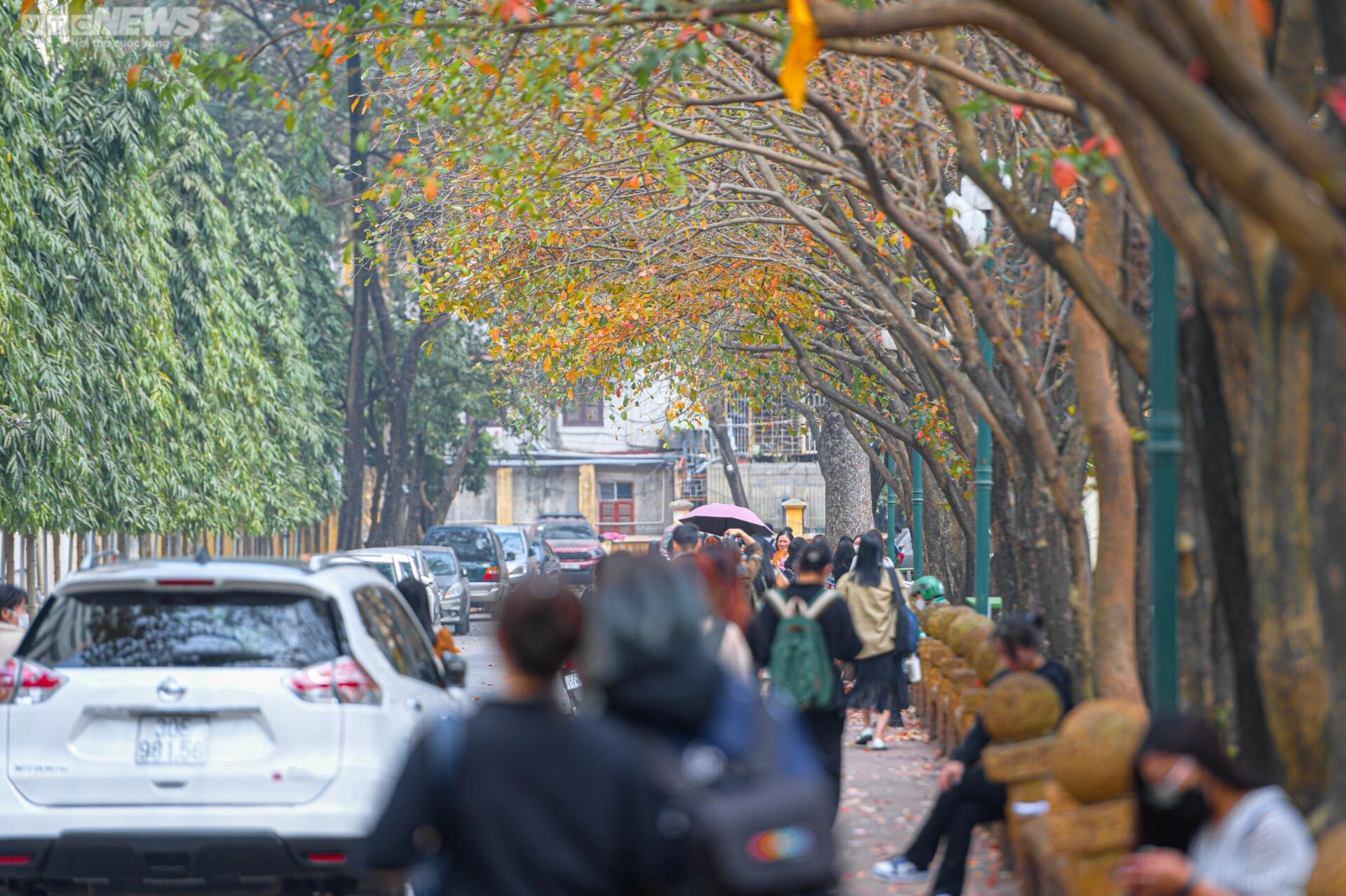 Con đường tình yêu ngập lá vàng hút hồn giới trẻ Hà Nội - Ảnh 13. Con đường tình yêu ngập lá vàng hút hồn giới trẻ Hà Nội - Ảnh 13.