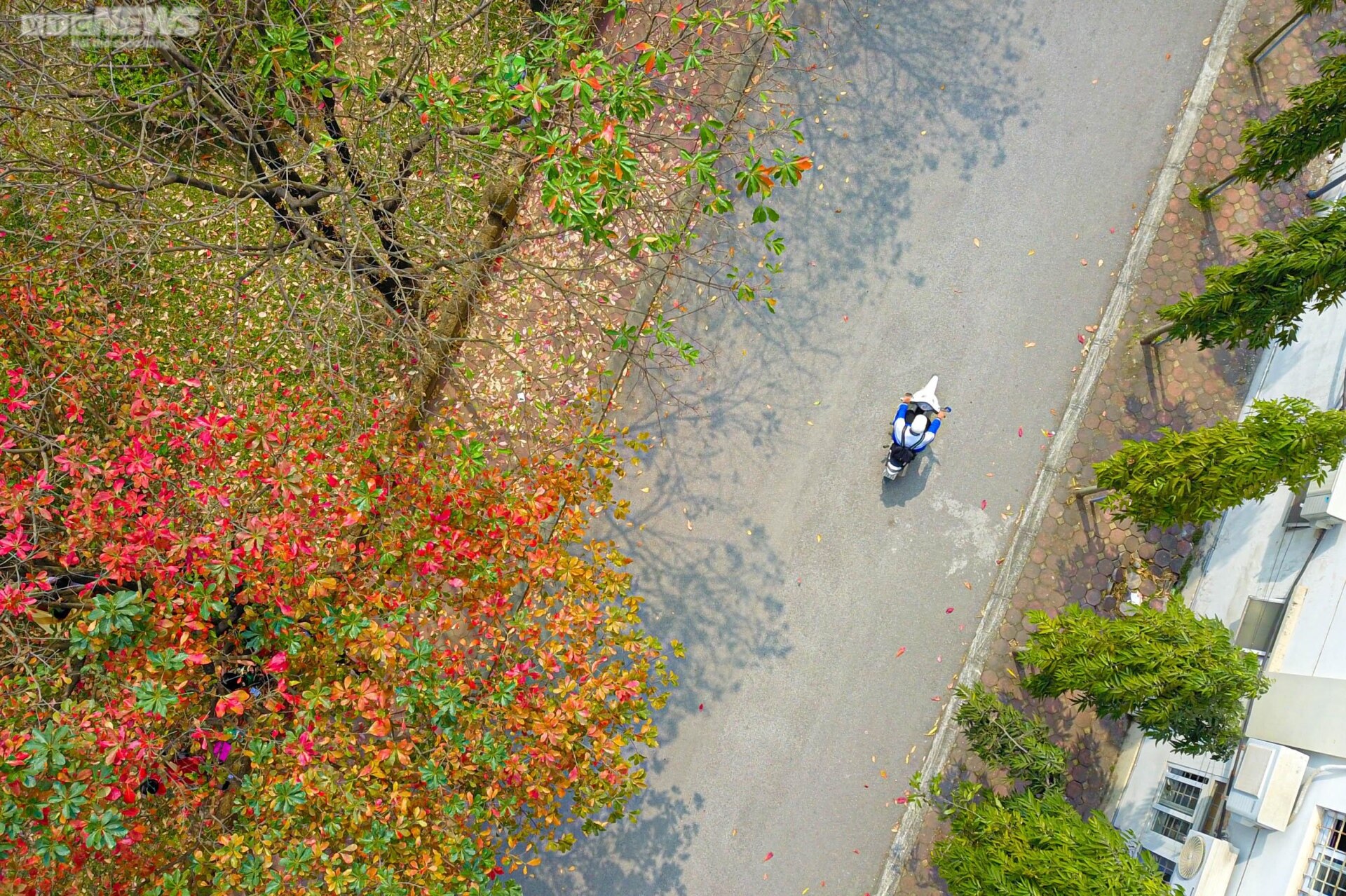 Con đường tình yêu ngập lá vàng hút hồn giới trẻ Hà Nội - Ảnh 3. Con đường tình yêu ngập lá vàng hút hồn giới trẻ Hà Nội - Ảnh 3.
