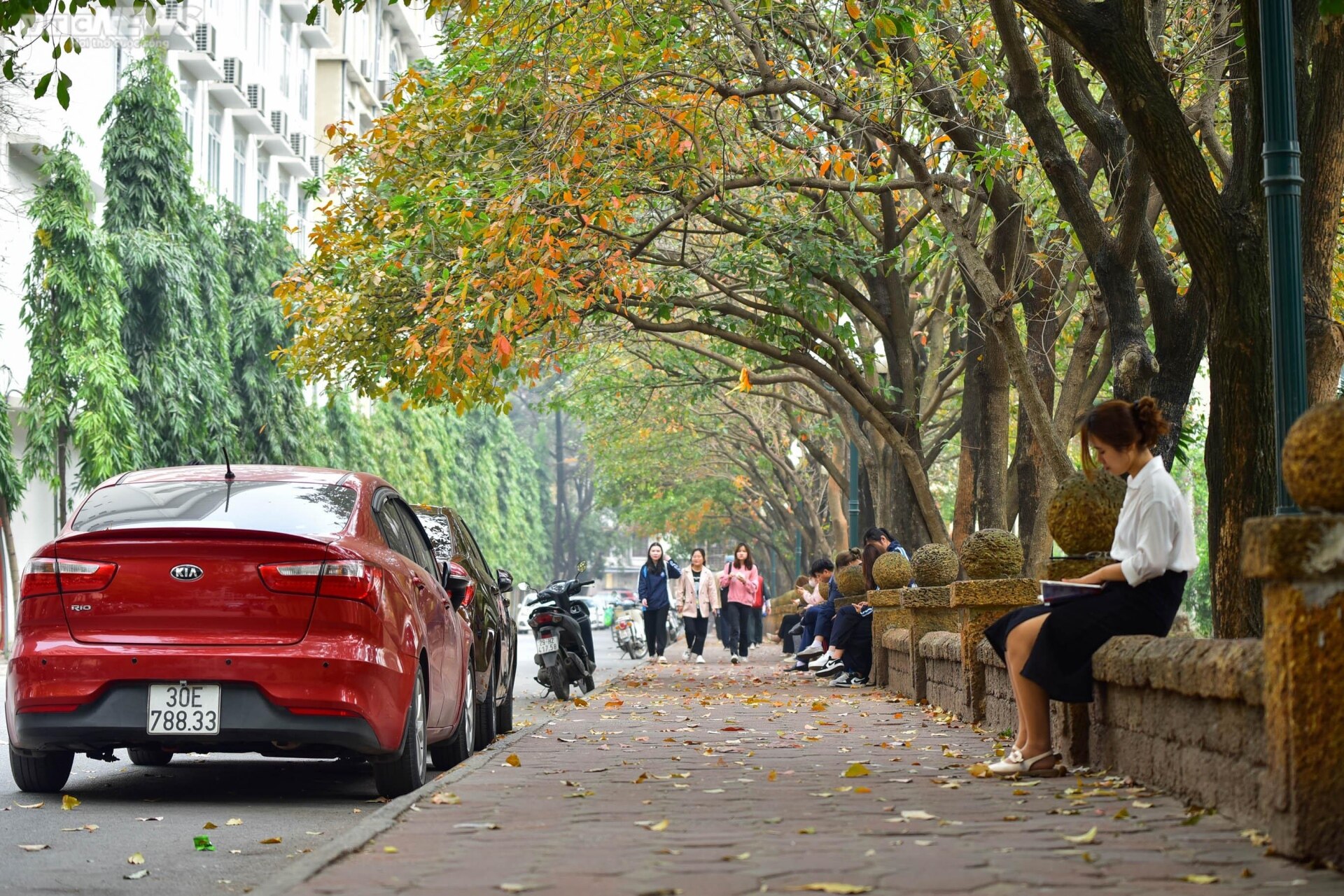 Con đường tình yêu ngập lá vàng hút hồn giới trẻ Hà Nội - Ảnh 1. Con đường tình yêu ngập lá vàng hút hồn giới trẻ Hà Nội - Ảnh 1.