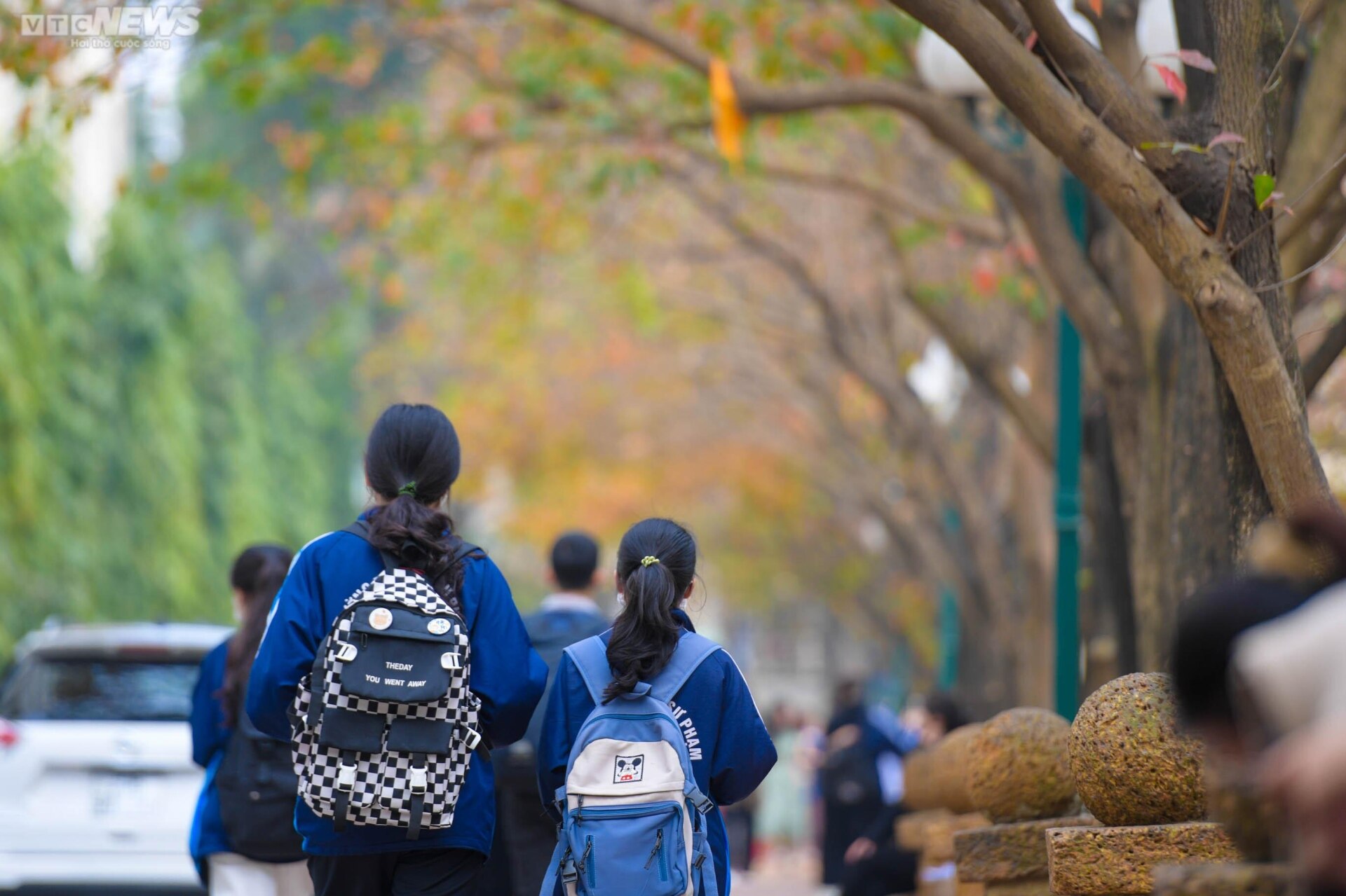 Con đường tình yêu ngập lá vàng hút hồn giới trẻ Hà Nội - Ảnh 9. Con đường tình yêu ngập lá vàng hút hồn giới trẻ Hà Nội - Ảnh 9.