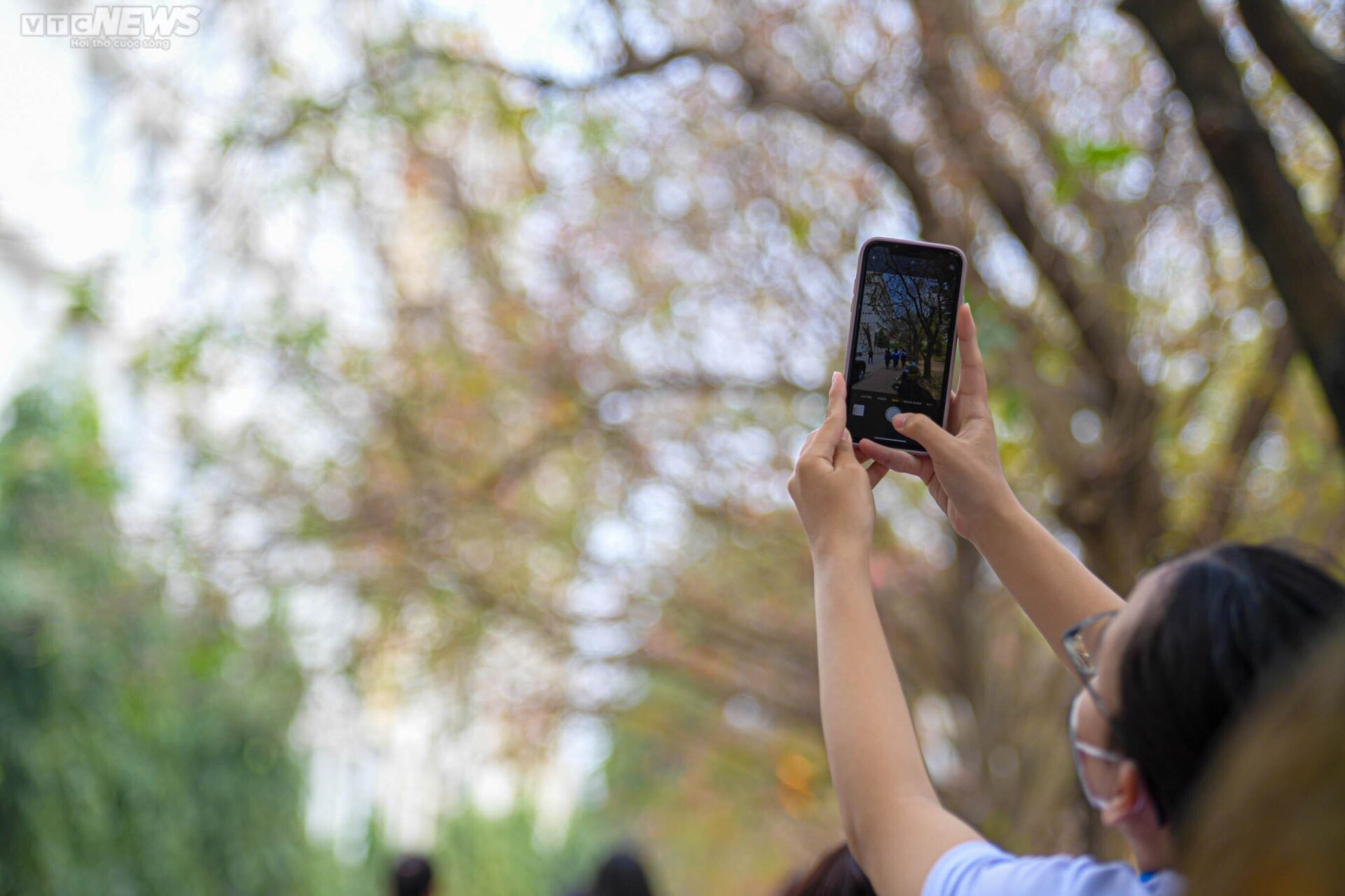 Con đường tình yêu ngập lá vàng hút hồn giới trẻ Hà Nội - Ảnh 7. Con đường tình yêu ngập lá vàng hút hồn giới trẻ Hà Nội - Ảnh 7.