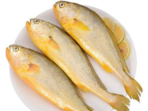  Đi chợ thấy những loại cá này nên mua ngay bởi cá ngọt thịt, ít xương lại giàu dinh dưỡng - Ảnh 9.