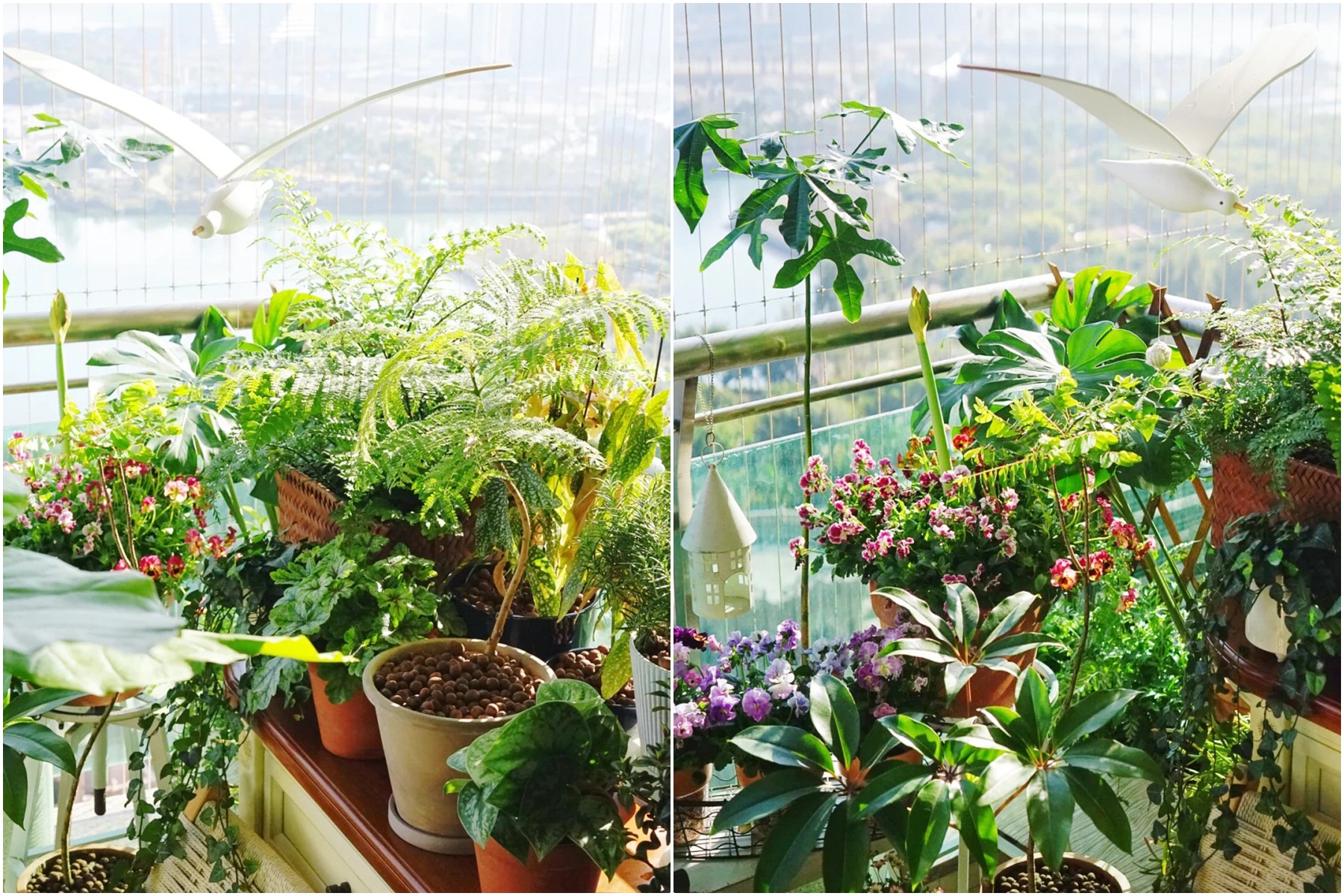 Khéo biến 6m2 ban công thành khu vườn xanh mướt - Ảnh 5. Khéo biến 6m2 ban công thành khu vườn xanh mướt - Ảnh 5.