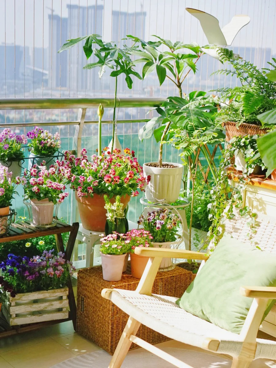 Khéo biến 6m2 ban công thành khu vườn xanh mướt - Ảnh 1. Khéo biến 6m2 ban công thành khu vườn xanh mướt - Ảnh 1.