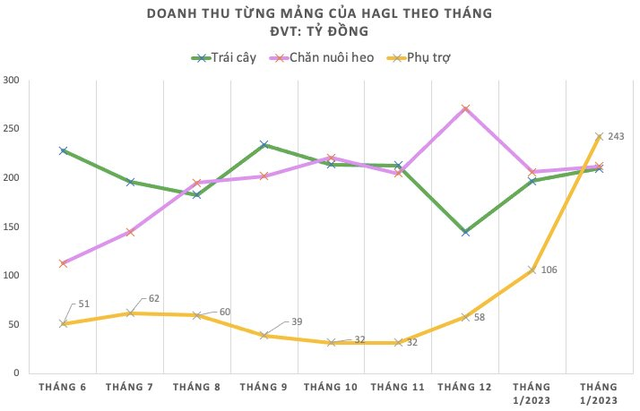 Hoàng Anh Gia Lai (HAGL) bổ sung tài sản bảo đảm nghĩa vụ tín dụng cho công ty con - Ảnh 1.