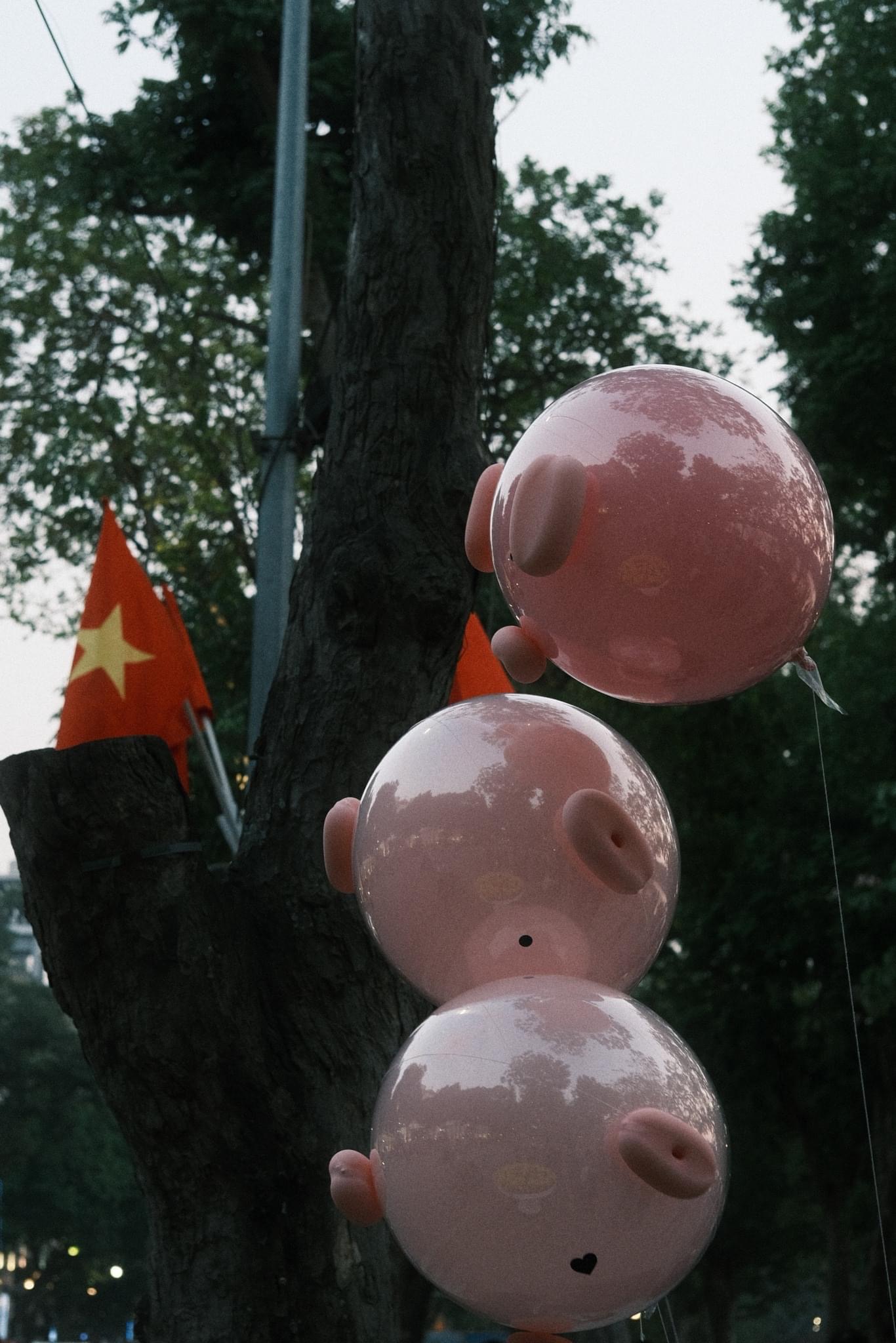 Hà Nội hoài cổ, đầy mộng mơ dưới ống kính của Idol Hàn gốc Việt: Tự hào khi hình ảnh Việt Nam được quảng bá rộng rãi - Ảnh 11.