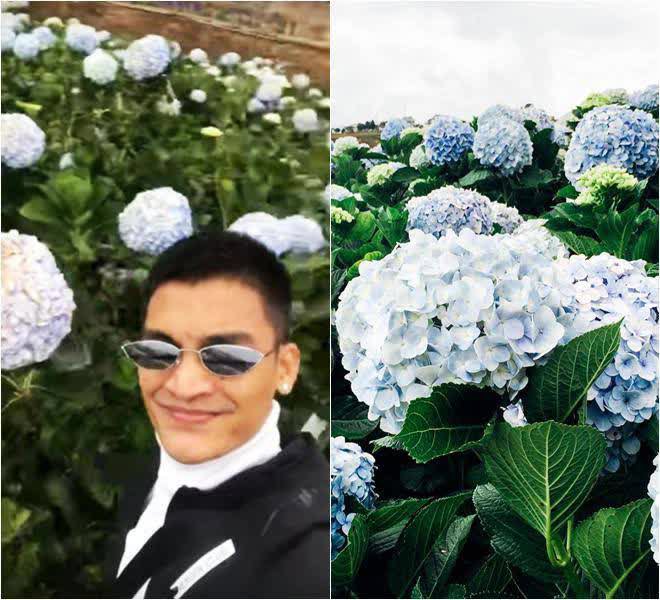 Review Đà Lạt độc lạ như Mạc Văn Khoa: Tưởng ai coi cũng thèm nhưng sự thật thì… lạ lắm - Ảnh 9. Review Đà Lạt độc lạ như Mạc Văn Khoa: Tưởng ai coi cũng thèm nhưng sự thật thì… lạ lắm - Ảnh 9.