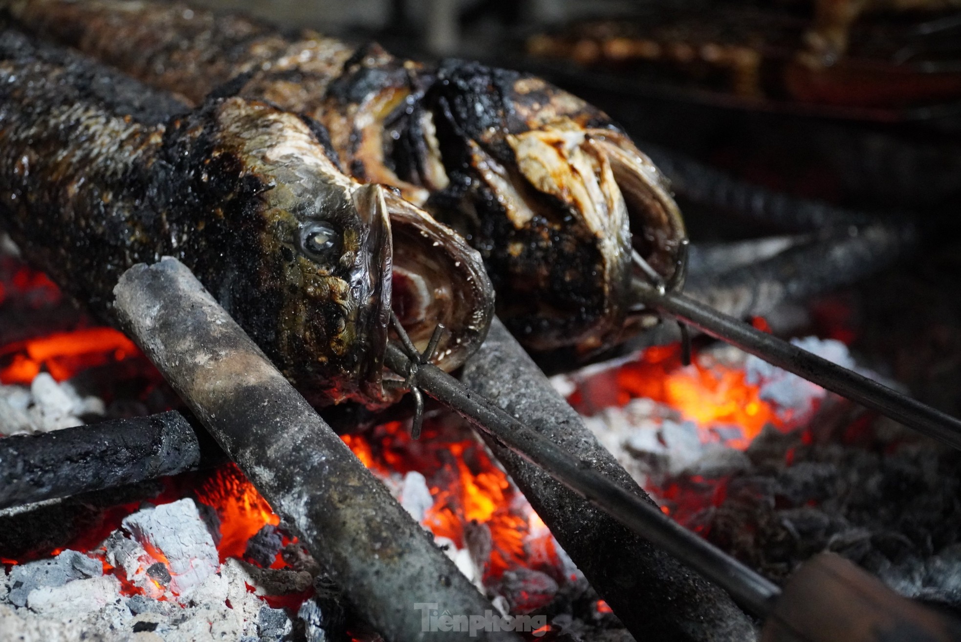 Đặc sản nướng cá bằng lá rừng, thu tiền triệu mỗi ngày - Ảnh 1.