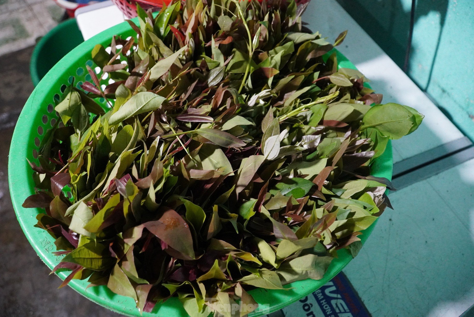 Đặc sản nướng cá bằng lá rừng, thu tiền triệu mỗi ngày - Ảnh 10.