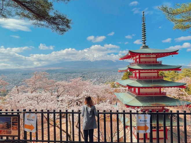 Lượng khách Việt đến Nhật Bản đạt mức cao nhất: phải chăng mùa xuân nơi đây quá lay động lòng người? - Ảnh 4. Lượng khách Việt đến Nhật Bản đạt mức cao nhất: phải chăng mùa xuân nơi đây quá lay động lòng người? - Ảnh 4.