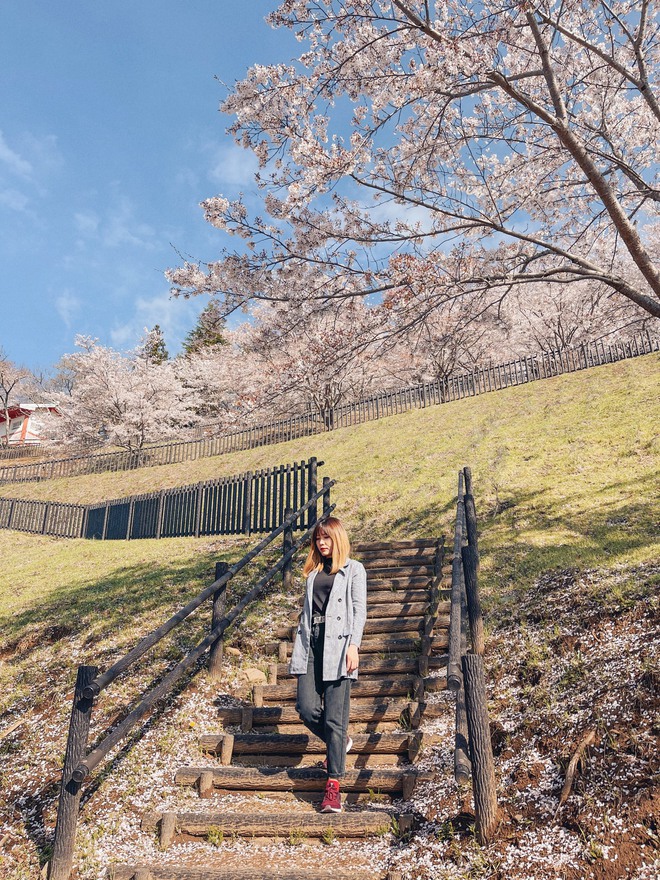 Lượng khách Việt đến Nhật Bản đạt mức cao nhất: phải chăng mùa xuân nơi đây quá lay động lòng người? - Ảnh 3. Lượng khách Việt đến Nhật Bản đạt mức cao nhất: phải chăng mùa xuân nơi đây quá lay động lòng người? - Ảnh 3.