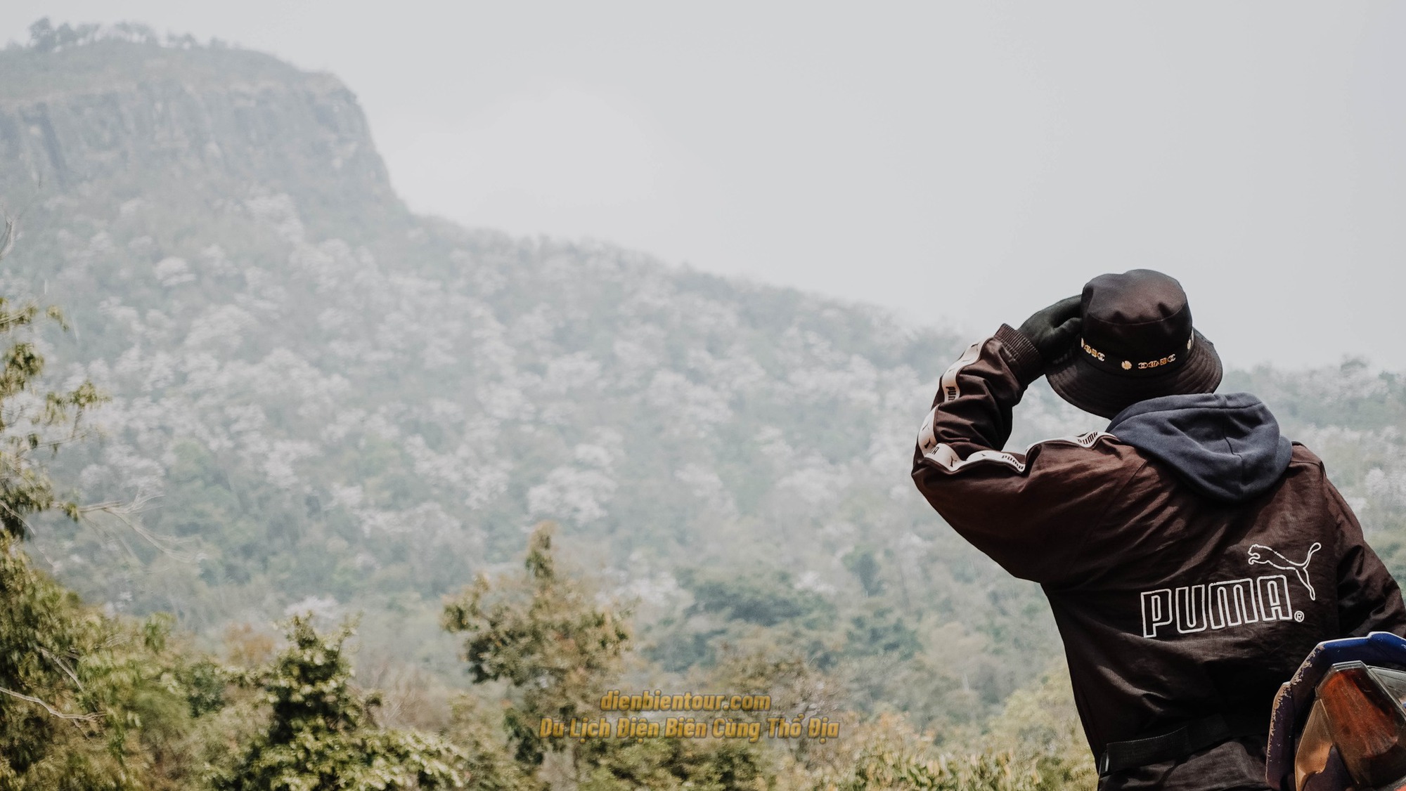 Ngất ngây trước vẻ đẹp Điện Biên mùa hoa ban nở lung linh nhất trong năm - Ảnh 15.