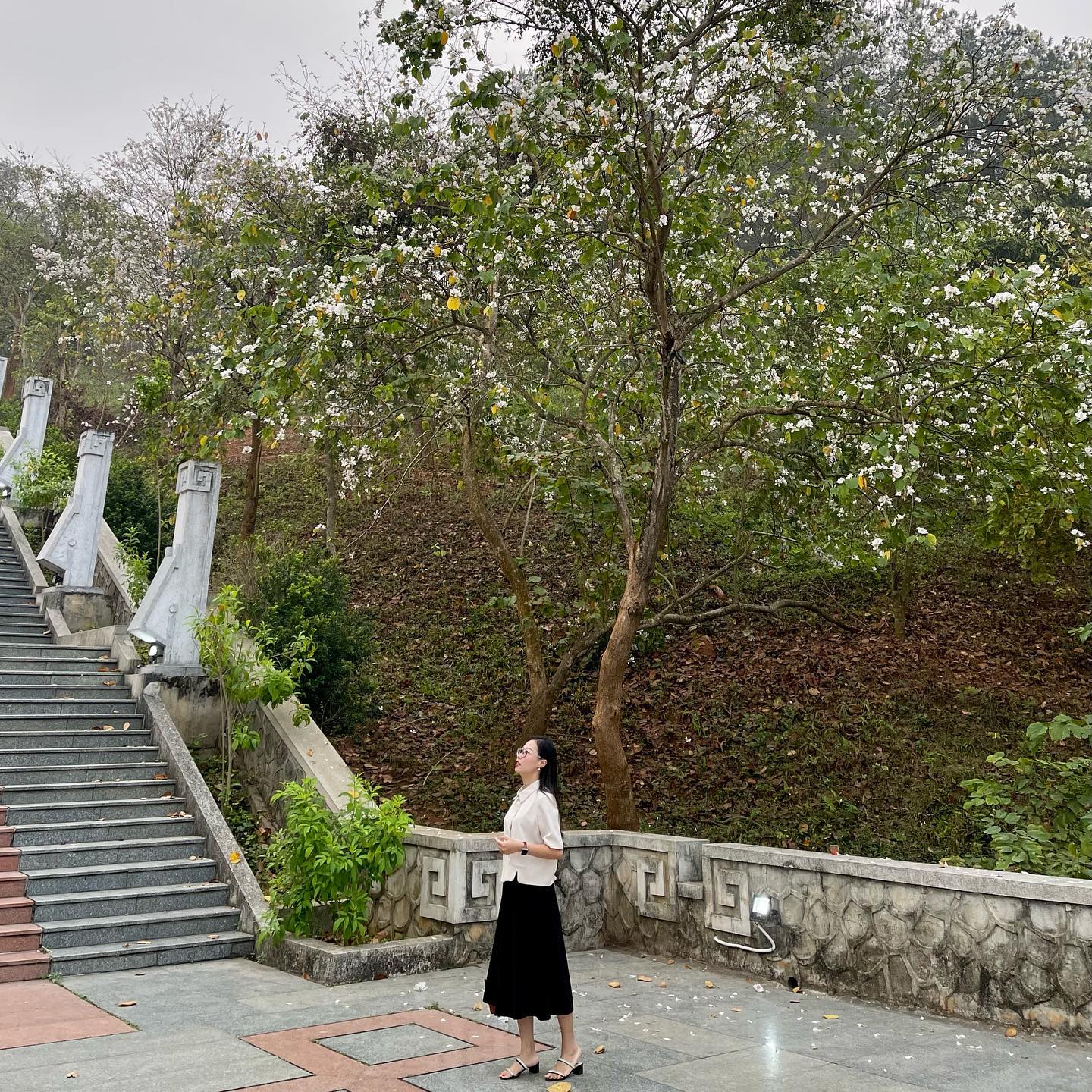 Ngất ngây trước vẻ đẹp Điện Biên mùa hoa ban nở lung linh nhất trong năm - Ảnh 23.