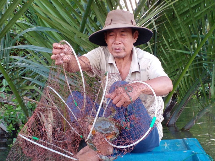 Lý do giá cua biển Cà Mau liên tục tăng mạnh - Ảnh 1.