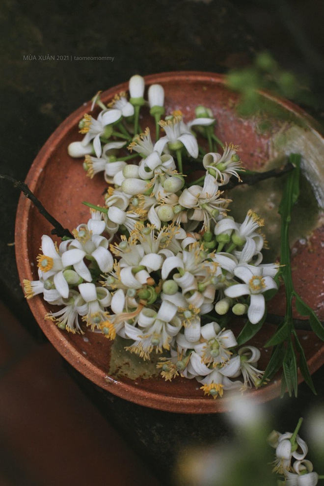  Món ăn thanh cảnh của người Hà Nội: Đặc sản tháng 3 mang hương vị thơm ngát không phải ai cũng biết đến - Ảnh 10.