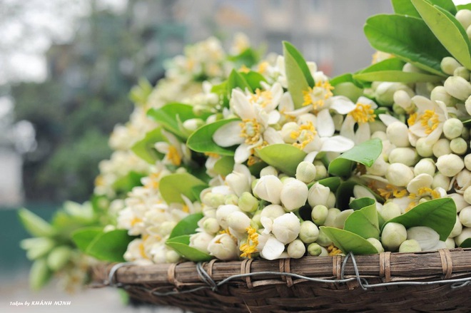  Món ăn thanh cảnh của người Hà Nội: Đặc sản tháng 3 mang hương vị thơm ngát không phải ai cũng biết đến - Ảnh 4.