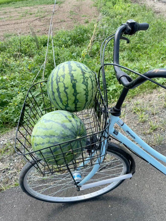  Cô gái Việt sống ở Nhật khoe cảnh hái rau, bắt cá miễn phí ăn nhưng lại khiến dân mạng tranh cãi về vấn đề an toàn sức khoẻ - Ảnh 6.