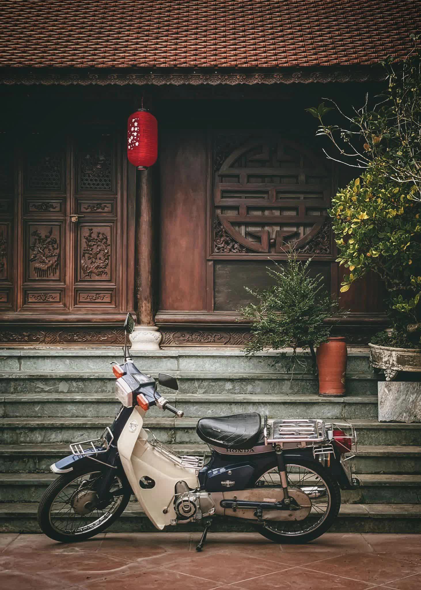 Biệt phủ gỗ lim rộng 1.000m2 ở Nam Định, đi nửa ngày chưa khám phá hết, chủ nhân hé lộ về dòng dõi trâm anh quyền thế - Ảnh 8.