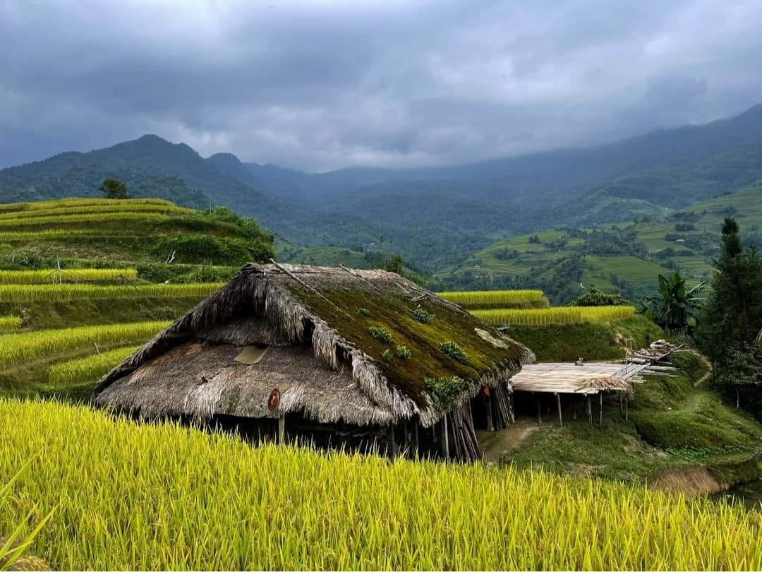 Cứ ngỡ trong truyện cổ tích nhưng những mái nhà phủ rêu ngoài đời thật lại ở ngay vùng đất gây thương nhớ của Việt Nam - Ảnh 3.