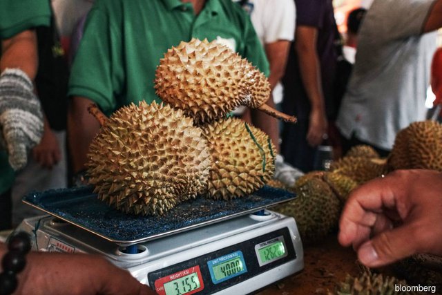 Đối thủ thất thu lớn vì thiên tai, loại trái cây vua của Việt Nam có thể giành lợi thế tại thị trường Trung Quốc? - Ảnh 3.