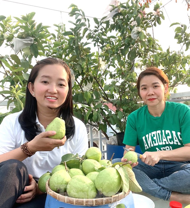 Vườn rau trái trĩu quả trên mái nhà giúp bà chủ 8x xả stress, lại có thu nhập khá - Ảnh 5. Vườn rau trái trĩu quả trên mái nhà giúp bà chủ 8x xả stress, lại có thu nhập khá - Ảnh 5.