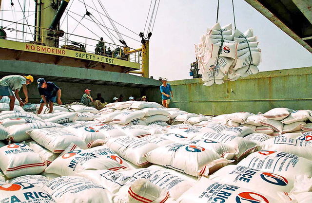 Xuất khẩu gạo năm nay có thể đạt 7 triệu tấn - Ảnh 1.