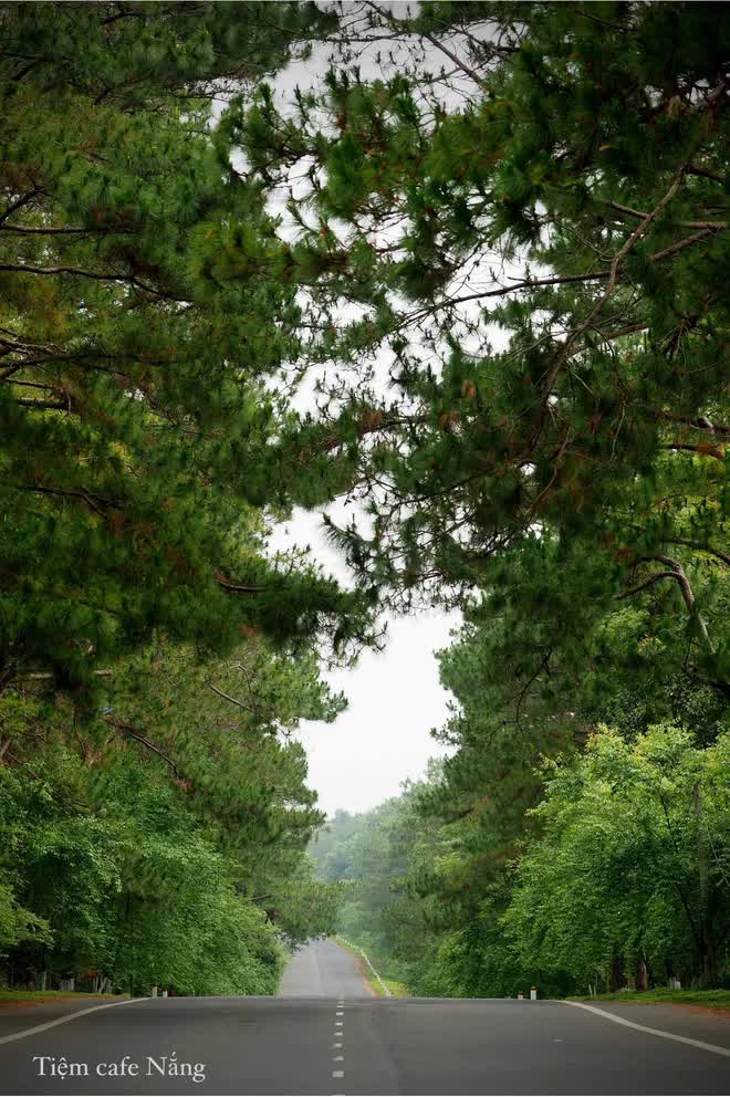 Đà Lạt thứ hai đẹp như tiên cảnh nhiều người còn chưa biết tên - Ảnh 2.