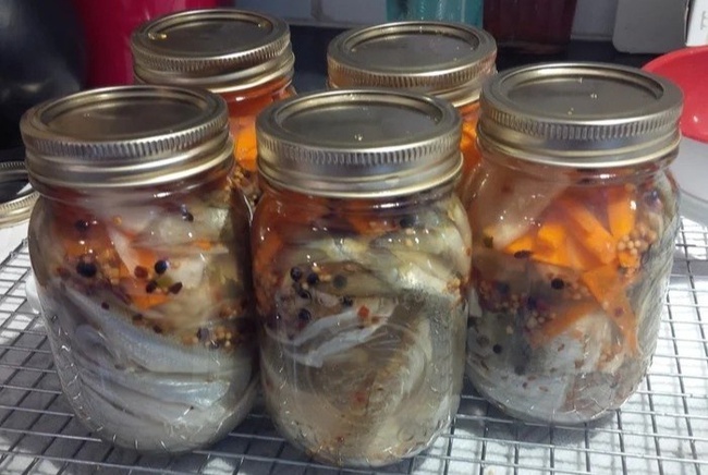 Ai cũng tưởng hút chân không giúp bảo quản tốt thức ăn, nhưng thực chất lại tạo ra chất độc gây chết người mạnh nhất từng được biết - Ảnh 1. Ai cũng tưởng hút chân không giúp bảo quản tốt thức ăn, nhưng thực chất lại tạo ra chất độc gây chết người mạnh nhất từng được biết - Ảnh 1.