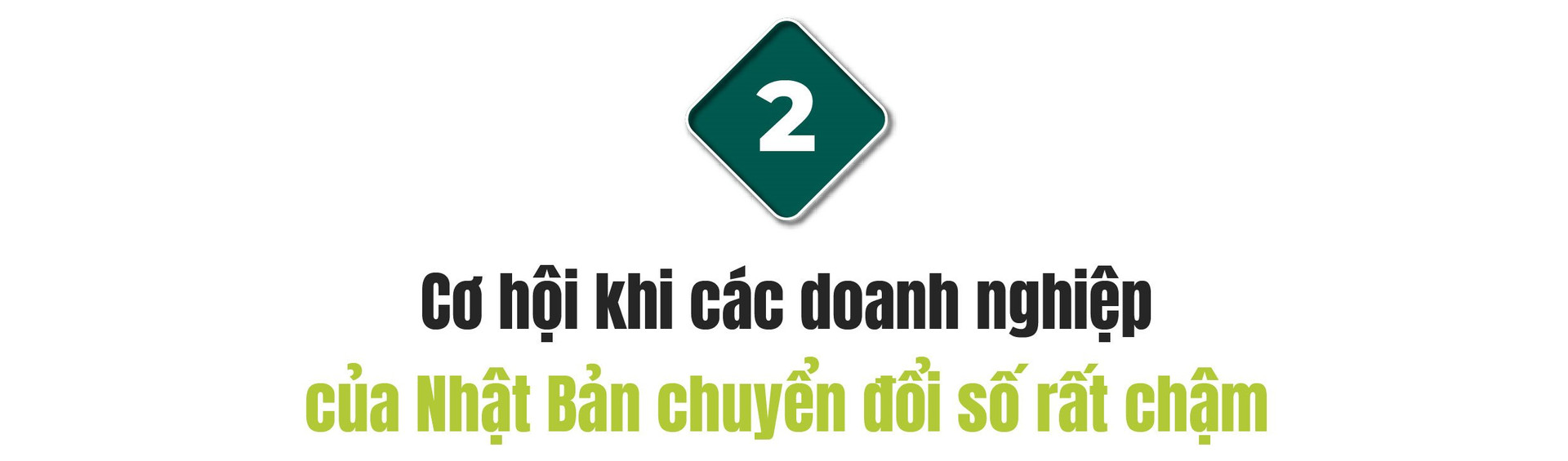 CEO Rikkei Japan: Xây dựng làng Việt tại Nhật là giấc mơ mà chúng tôi đang thúc đẩy - Ảnh 4.