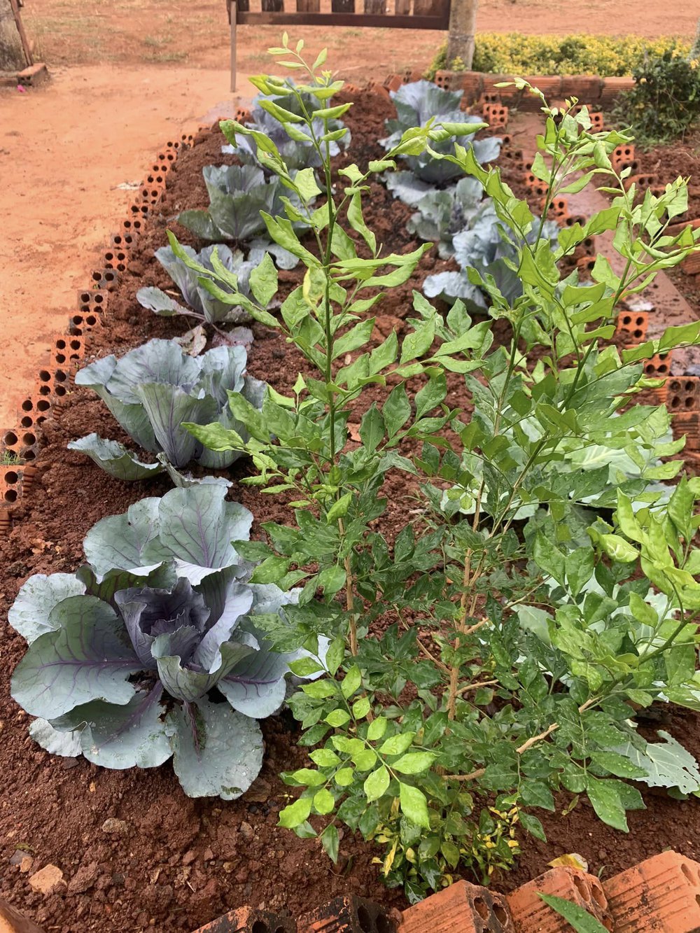 Được nghỉ phép 20 ngày, anh bộ đội mua đất, xây căn nhà gỗ 90m2 tặng vợ ở giữa núi rừng Buôn Mê Thuột - Ảnh 15. Được nghỉ phép 20 ngày, anh bộ đội mua đất, xây căn nhà gỗ 90m2 tặng vợ ở giữa núi rừng Buôn Mê Thuột - Ảnh 15.