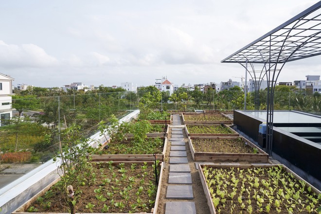 Chiêm ngưỡng vẻ đẹp của ngôi nhà đưa cả vườn rau lên mái để chống nóng - Ảnh 14. Chiêm ngưỡng vẻ đẹp của ngôi nhà đưa cả vườn rau lên mái để chống nóng - Ảnh 14.