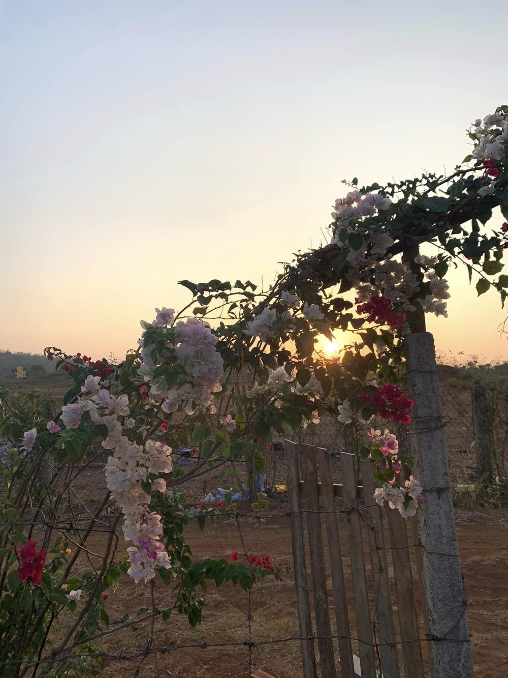 Được nghỉ phép 20 ngày, anh bộ đội mua đất, xây căn nhà gỗ 90m2 tặng vợ ở giữa núi rừng Buôn Mê Thuột - Ảnh 11. Được nghỉ phép 20 ngày, anh bộ đội mua đất, xây căn nhà gỗ 90m2 tặng vợ ở giữa núi rừng Buôn Mê Thuột - Ảnh 11.