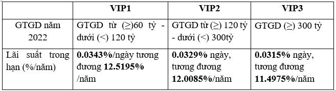 VietinBank Securities ra mắt gói ưu đãi lãi suất chỉ từ 11,5%/năm - Ảnh 1.