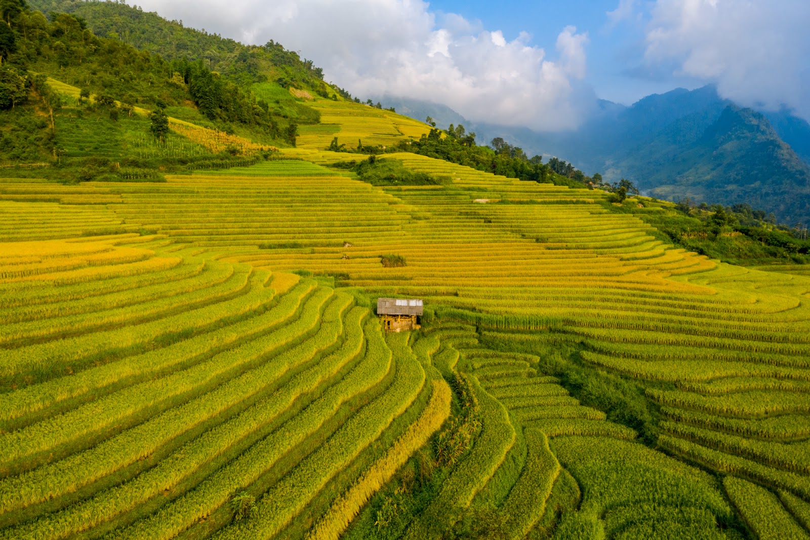 Toàn cảnh thị xã có lượng khách du lịch nhiều gấp 50 lần dân số - Ảnh 9. Toàn cảnh thị xã có lượng khách du lịch nhiều gấp 50 lần dân số - Ảnh 9.