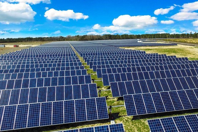 Tiết lộ sai phạm của chủ đầu tư dự án điện mặt trời lớn nhất Ninh Thuận - Ảnh 1.