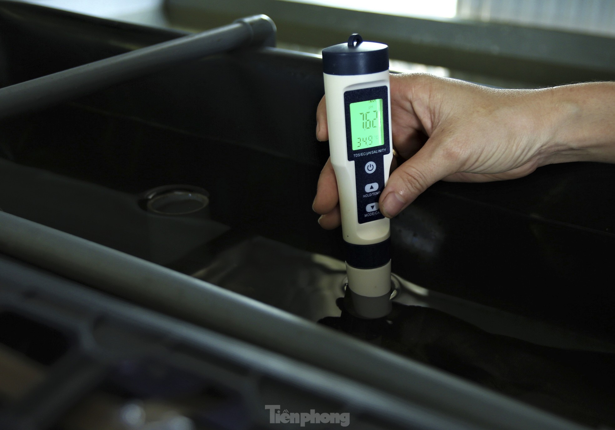 Tận thấy trại nuôi cua biển trong hộp nhựa đầu tiên ở Hà Tĩnh - Ảnh 10.