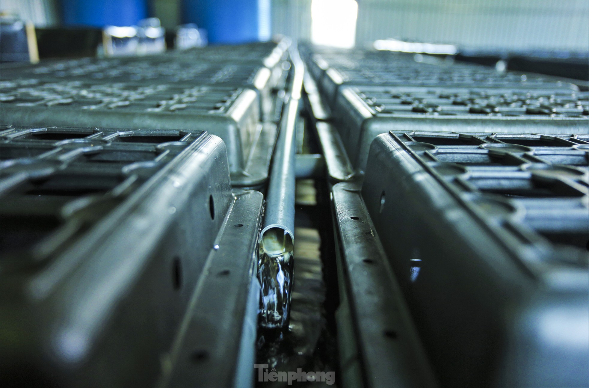 Tận thấy trại nuôi cua biển trong hộp nhựa đầu tiên ở Hà Tĩnh - Ảnh 5.