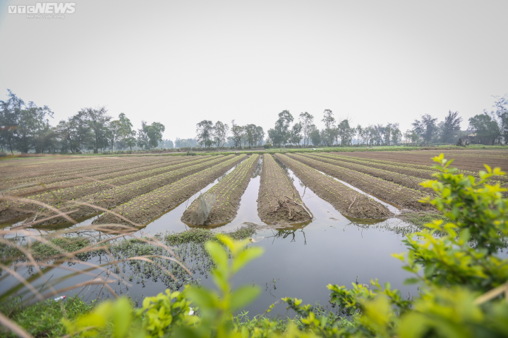 Cảnh hoang tàn trên mỏ sắt lớn nhất Đông Nam Á - Ảnh 16.