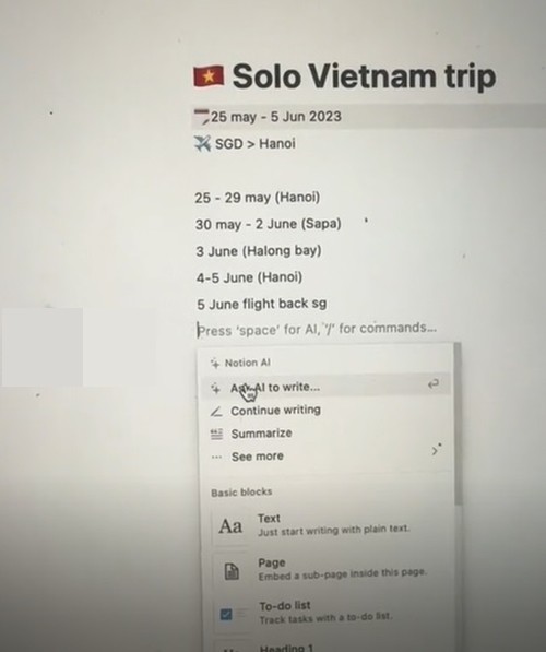 Nhờ phần mềm AI lập kế hoạch du lịch Việt Nam, nữ du khách nhận được cái kết vượt sức tưởng tượng - Ảnh 2.