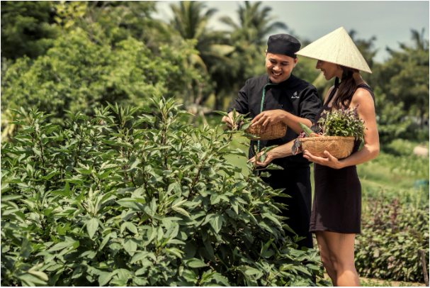 Four Seasons The Nam Hai: Hành trình về với thiên nhiên, văn hóa và con người - Ảnh 1.