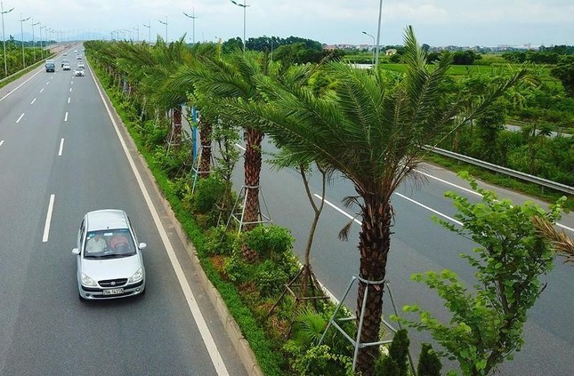 Hai nguyên Phó Chủ tịch UBND TP Hà Nội bị đề nghị xử lý trong vụ 'thổi giá cây xanh' - Ảnh 1.